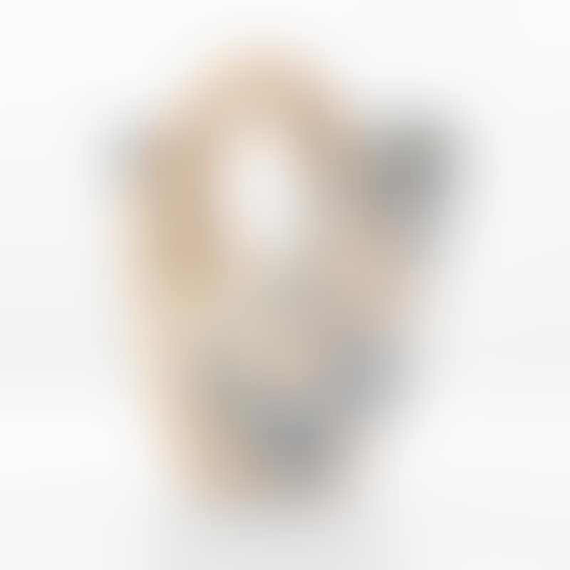 FIGURE DE PROU Vessel (A.R. 136) (preview)