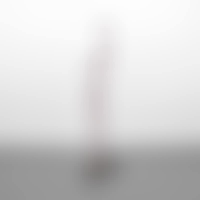 Reggiani Floor Lamp (preview)