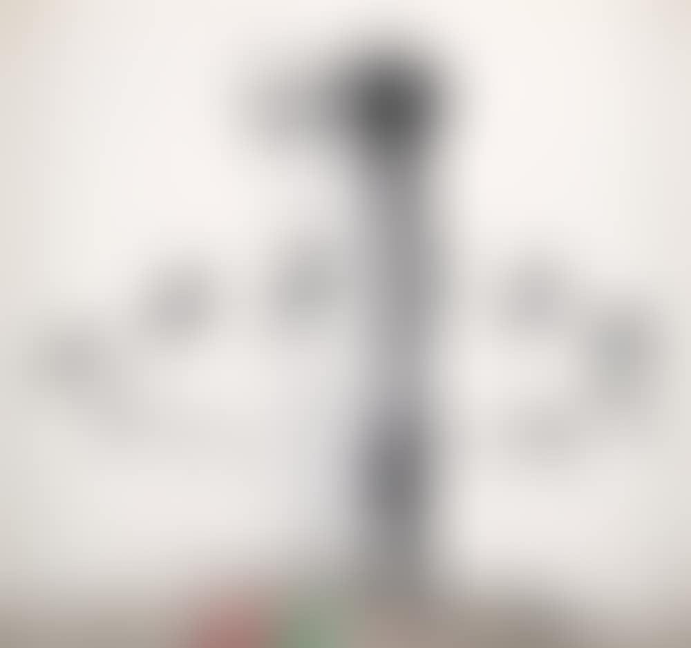"Walled Off Hotel" (preview)