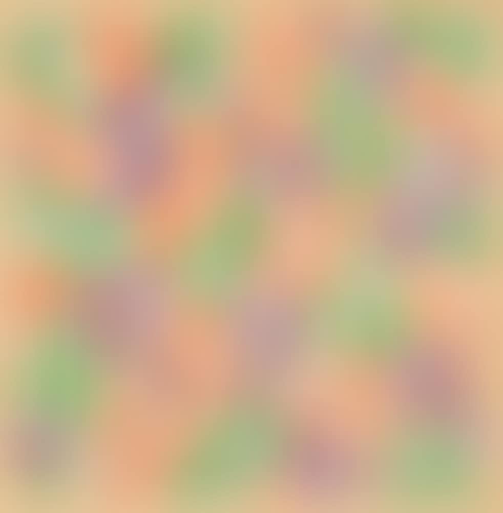 Untitled (CATALOG COVER) (preview)