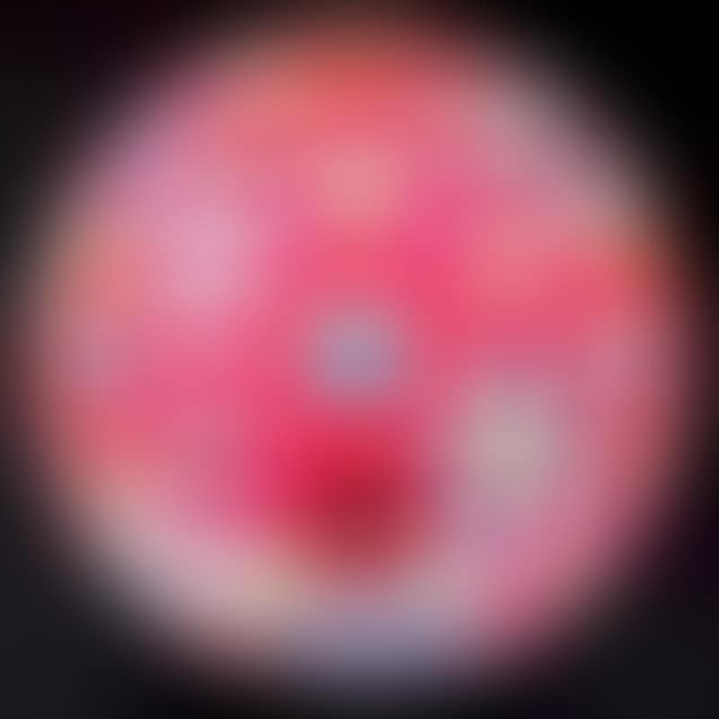 FLOWERBALL Lithograph (preview)