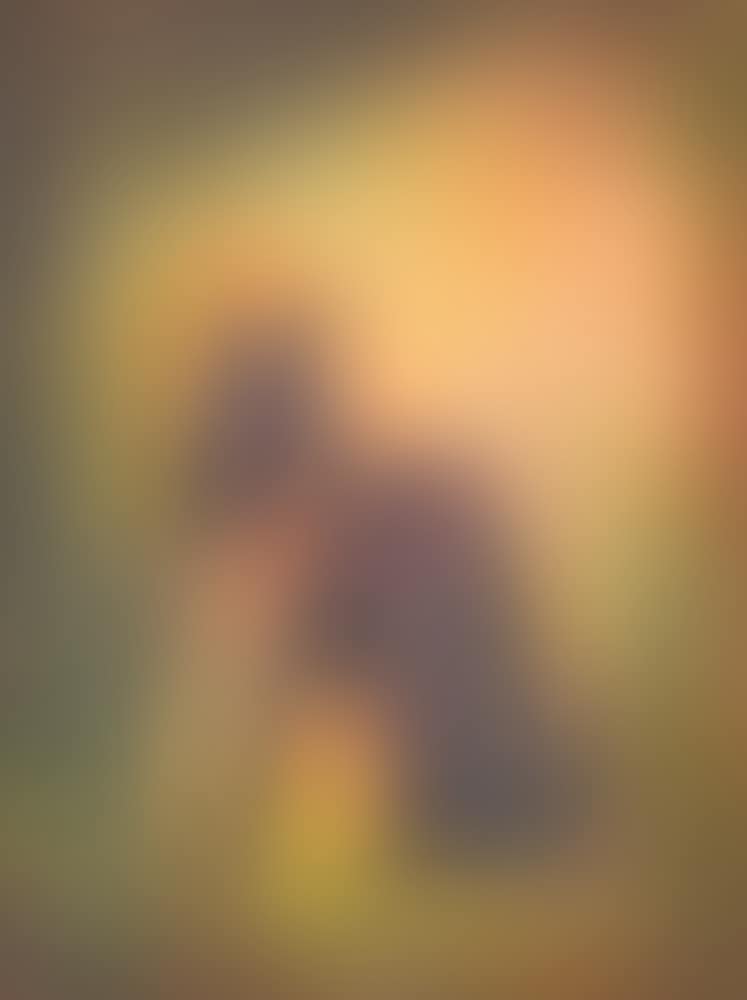 â€œEl Perroâ€ Mixograph (preview)