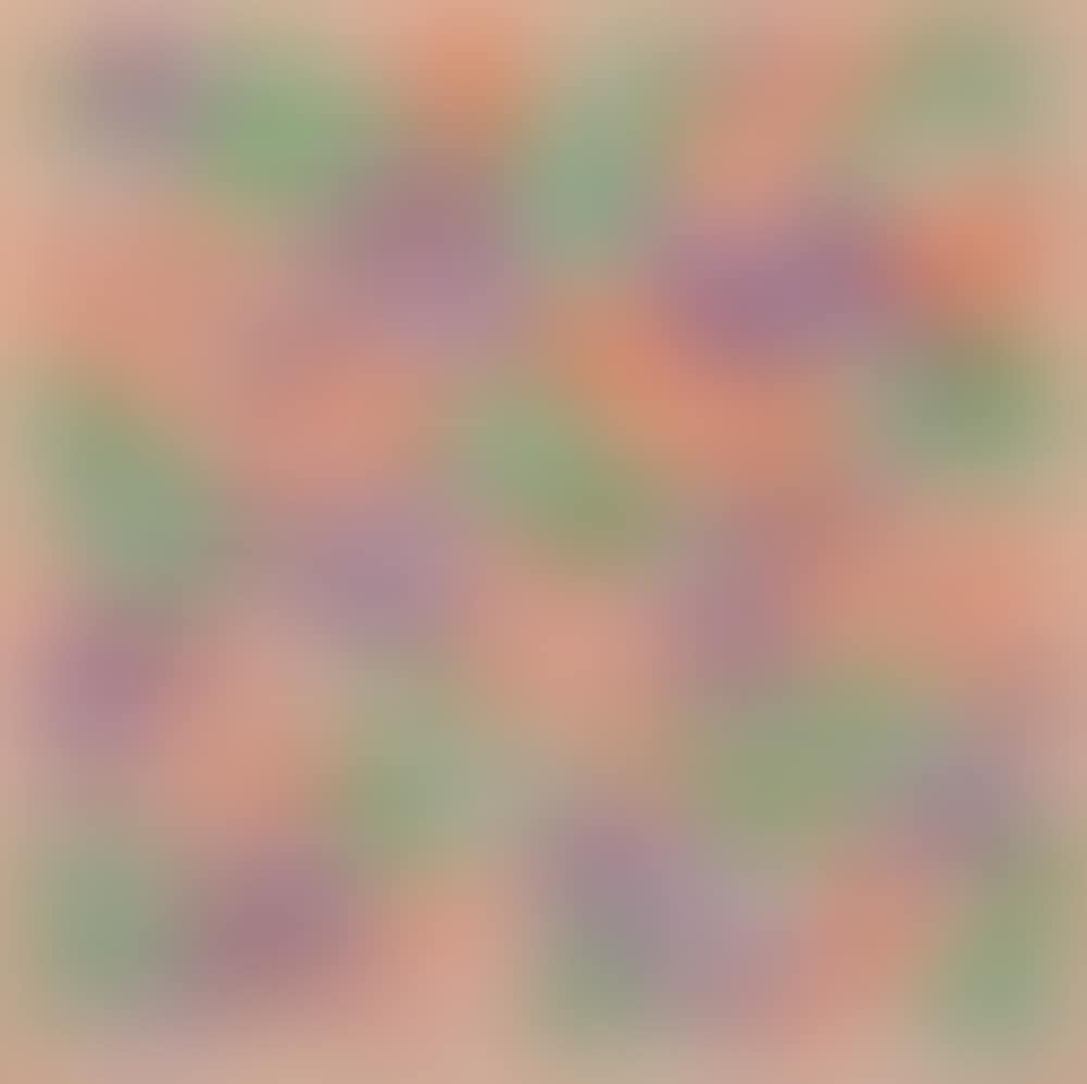 Catalog Cover Edition (preview)