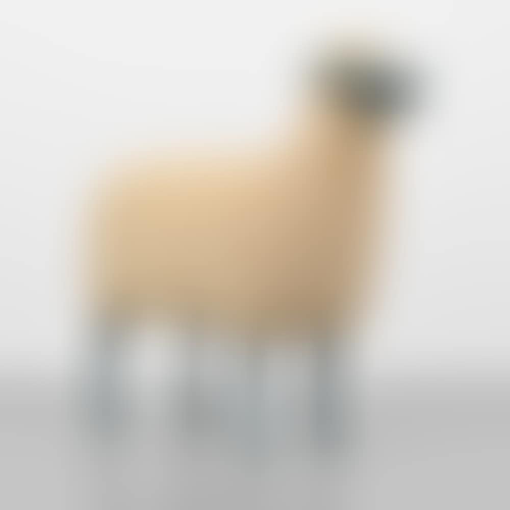 Mouton (preview)
