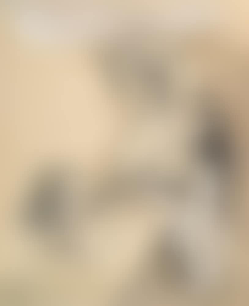 Untitled (preview)