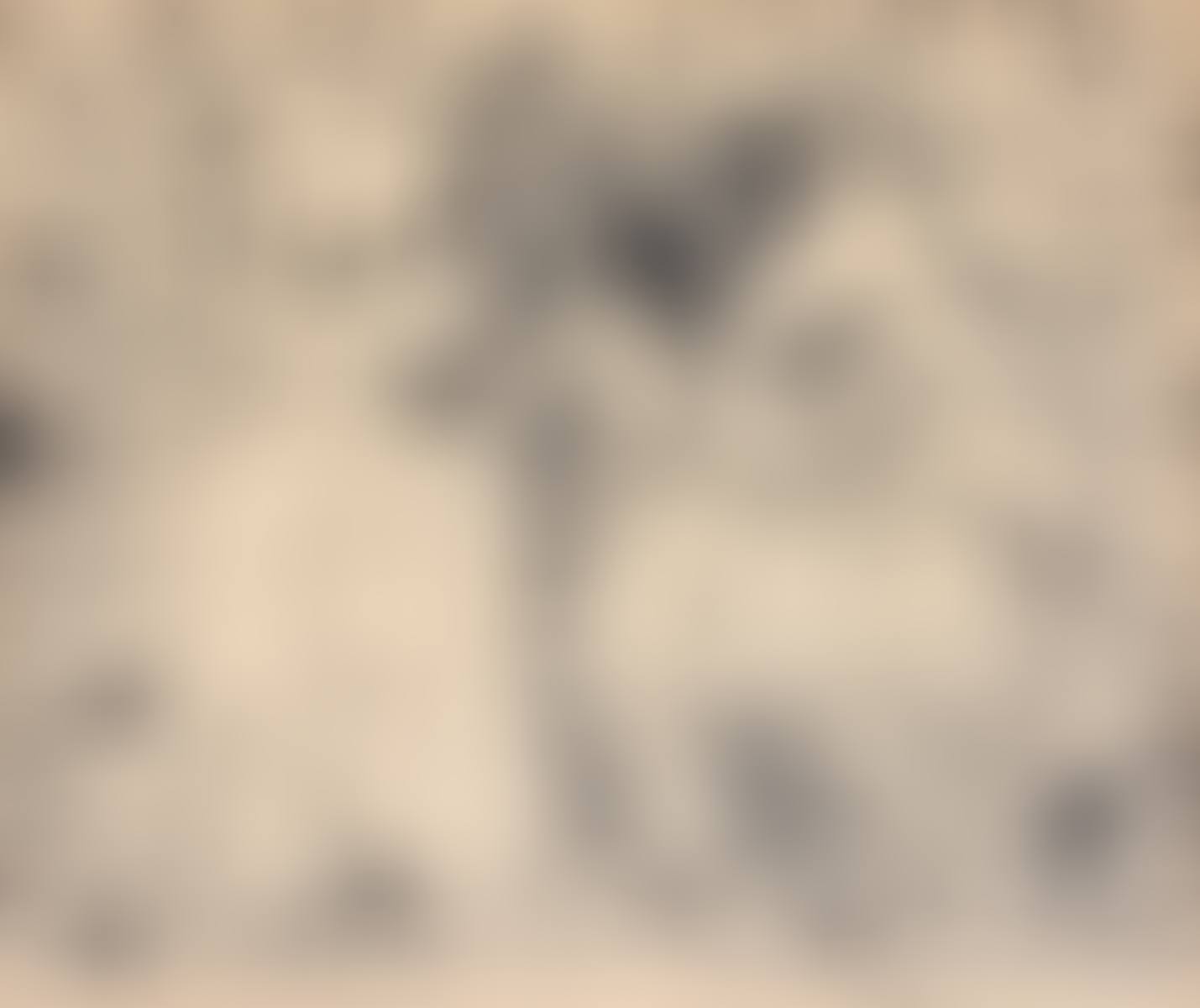 L"ECUYERE Lithograph (preview)