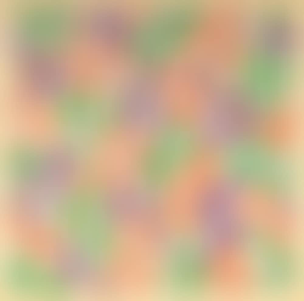 Catalogue Cover Edition (preview)