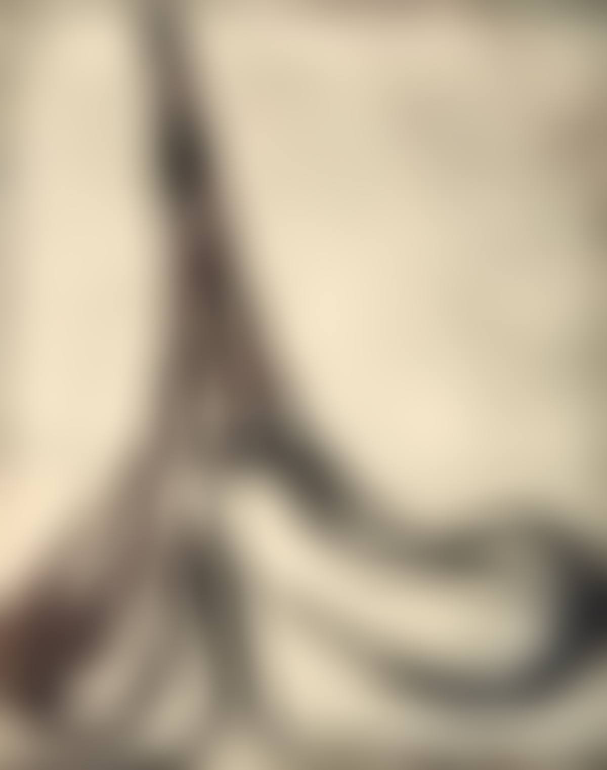 Eiffelspade (preview)
