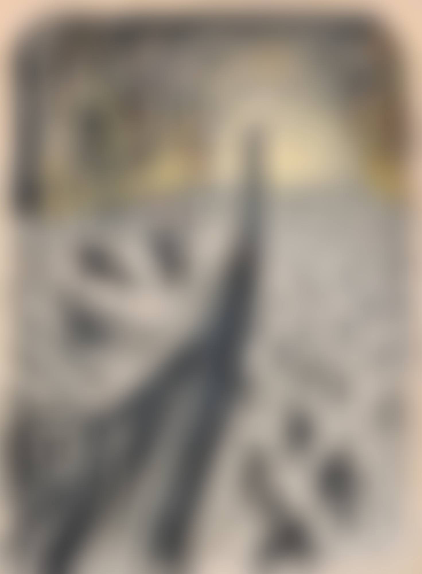 SYMPHONY BICYCLETTE Lithograph; Marking(s) (preview)