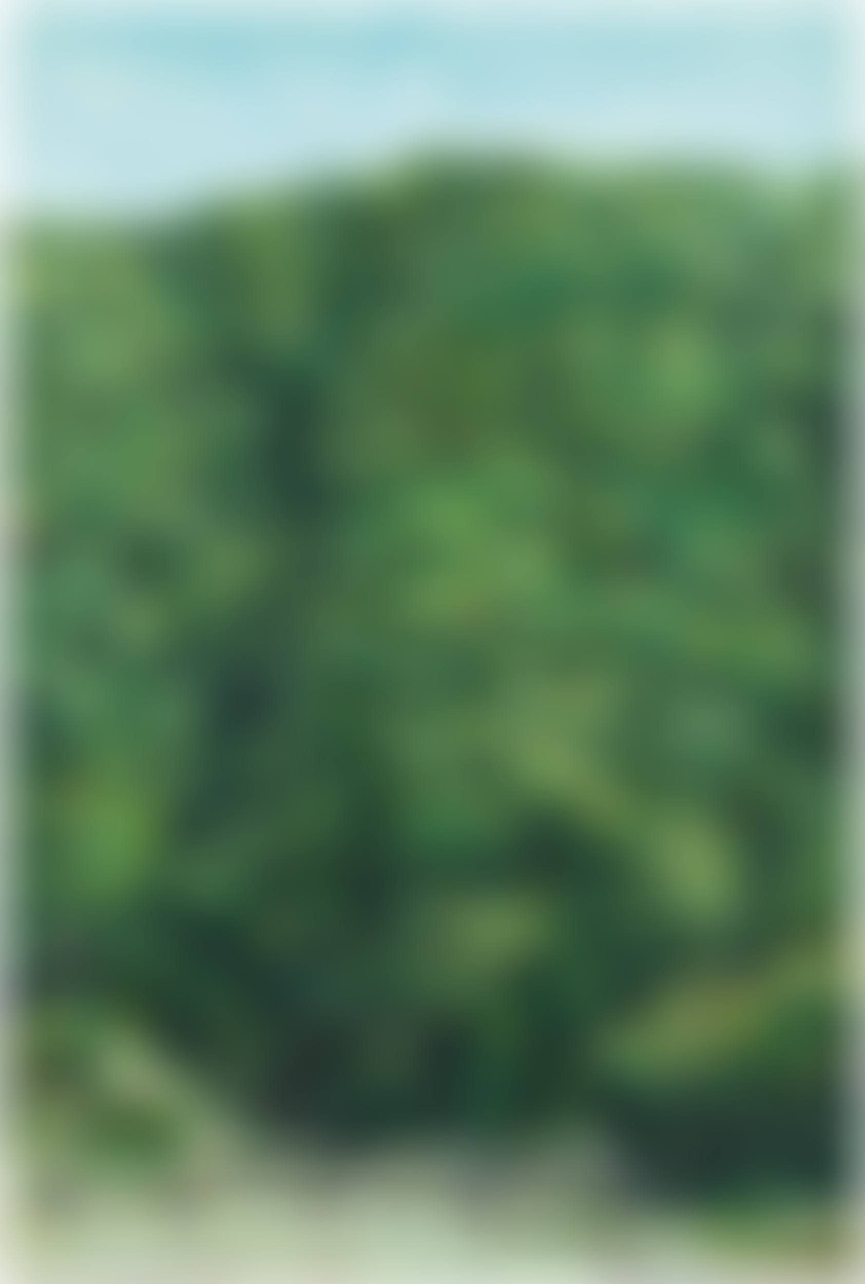 Landscape (preview)