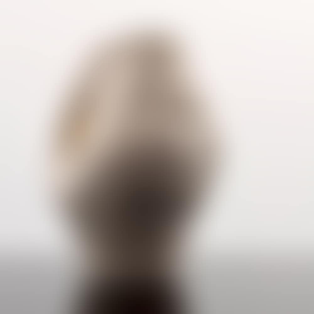 Tete de femme pitcher (preview)