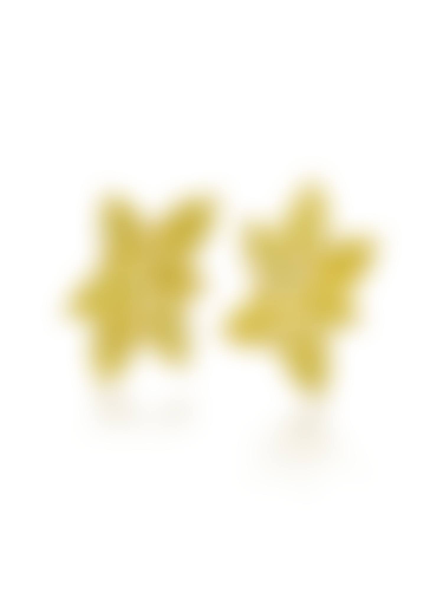 A Pair of Coloured Diamond Cluster Earrings (preview)