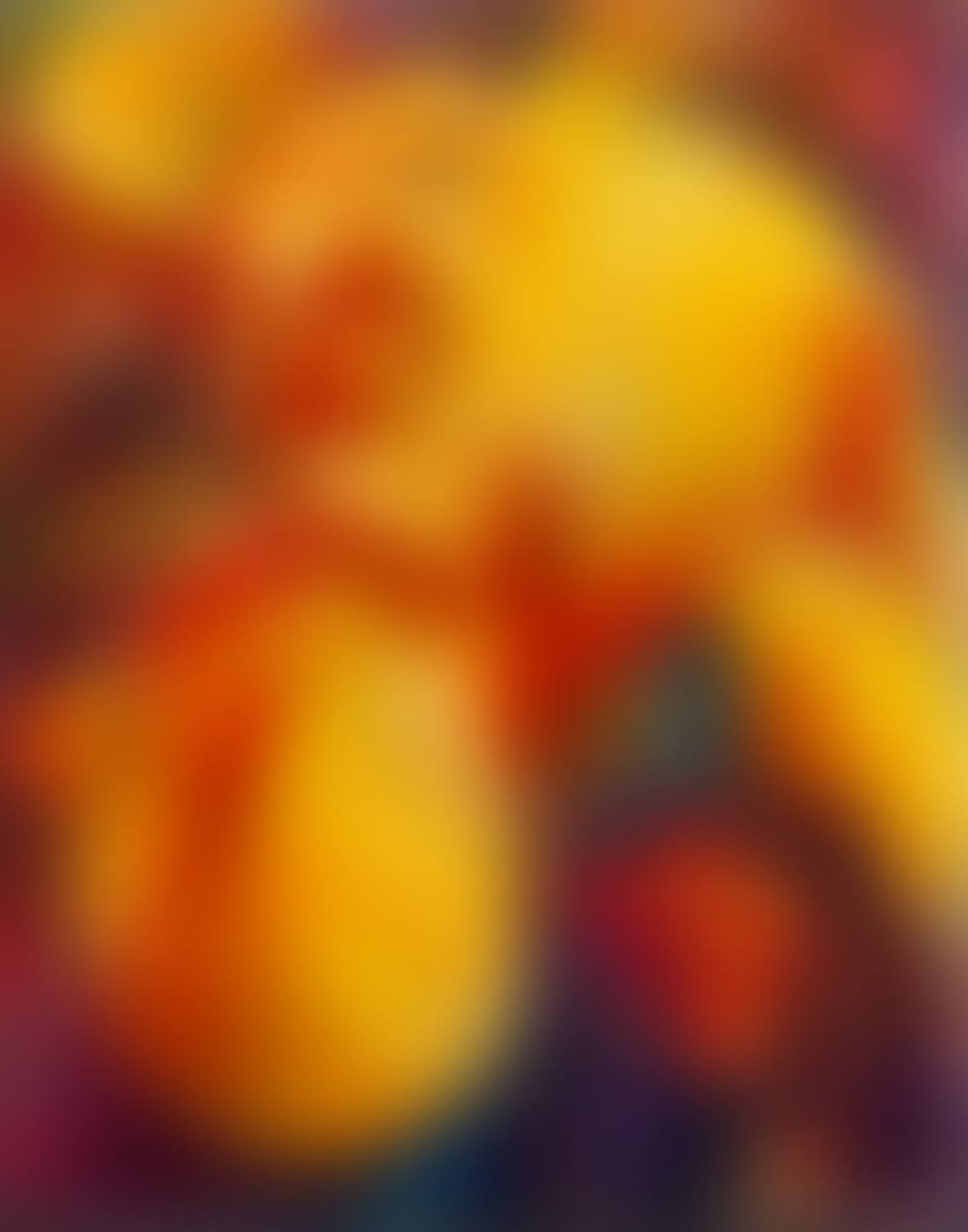 "Fiery iris" (preview)