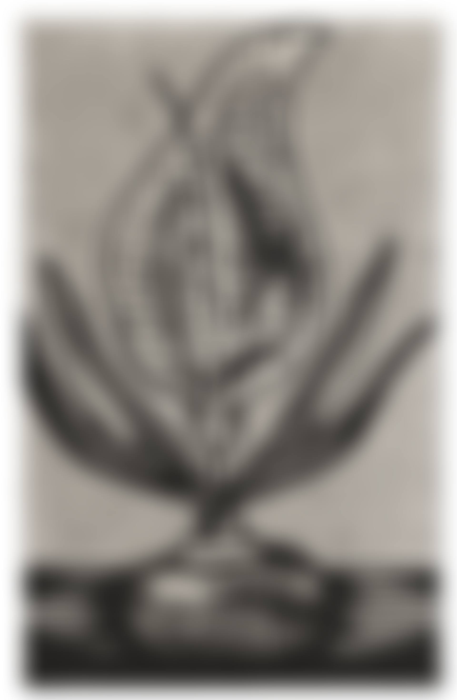 Voodoo Lily (preview)