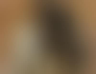 Untitled (preview)