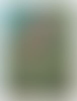 Untitled (from the Series Victory Plate Paintings) (preview)