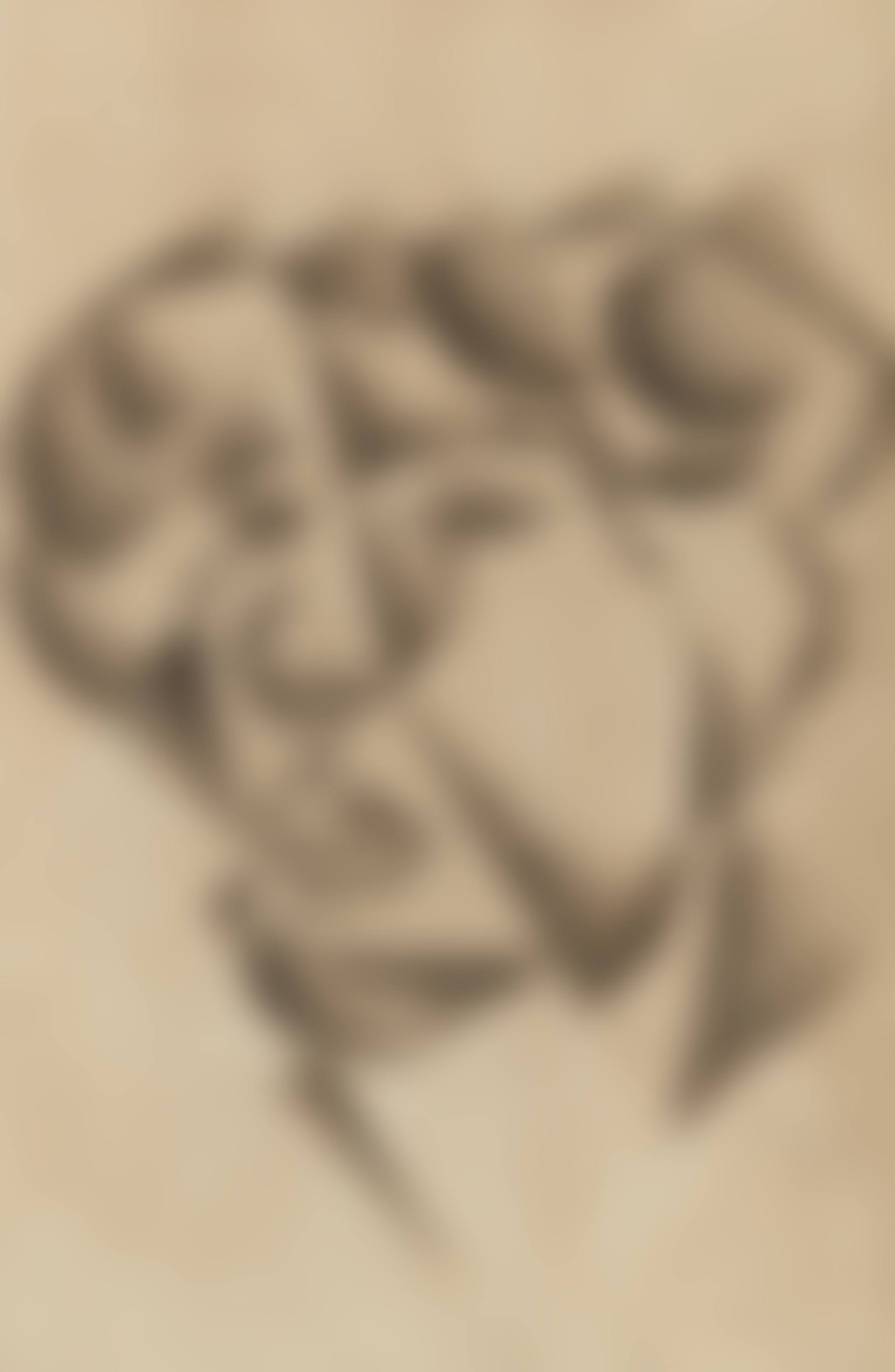 Autoportrait (preview)