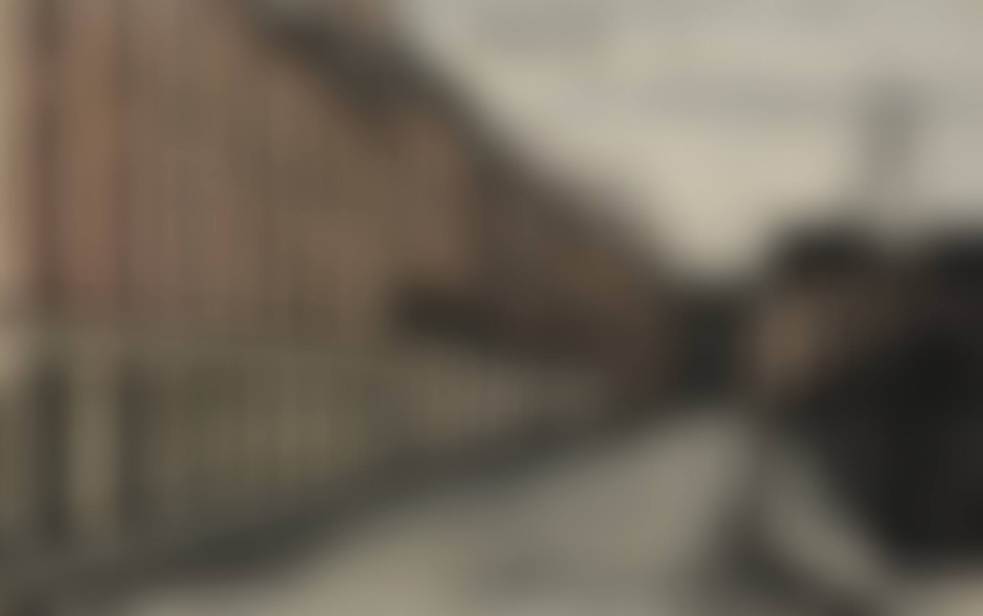 La Place des Vosges (preview)