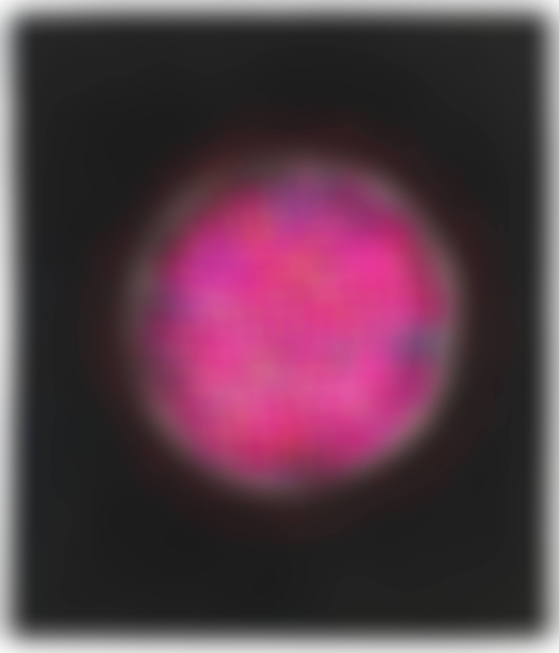 The Flower (No. 2) (preview)