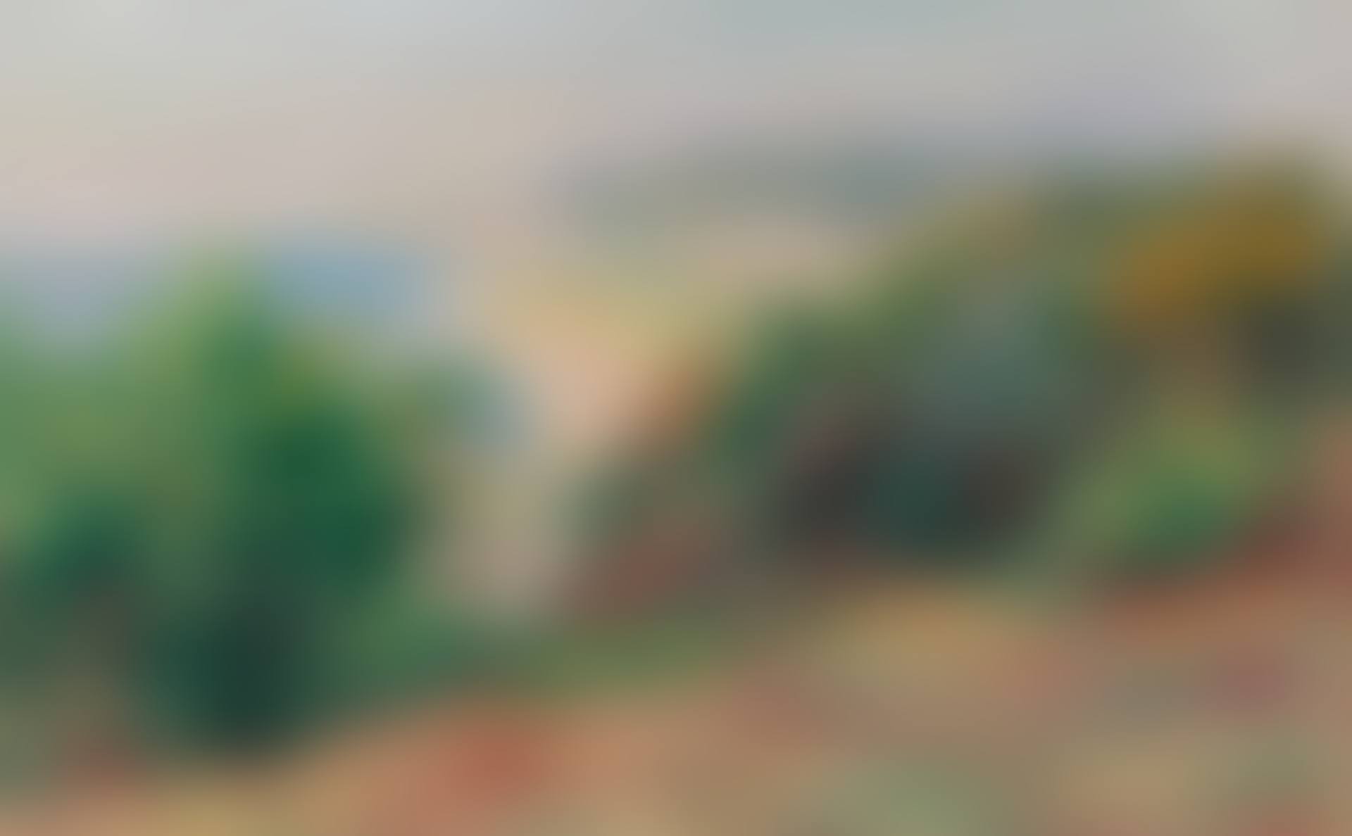 Paysage (preview)