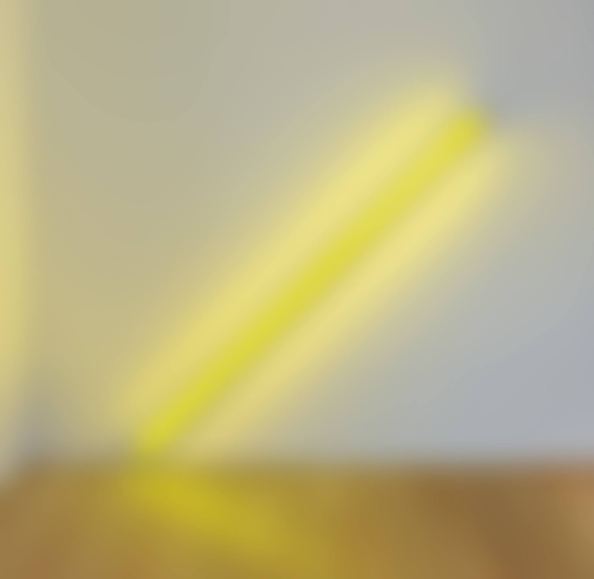 the diagonal of May 25, 1963 (to Constantin Brancusi) (preview)