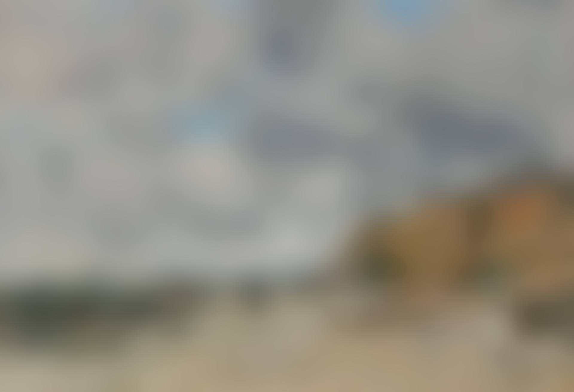 Le rivage de Villerville, marée basse (preview)