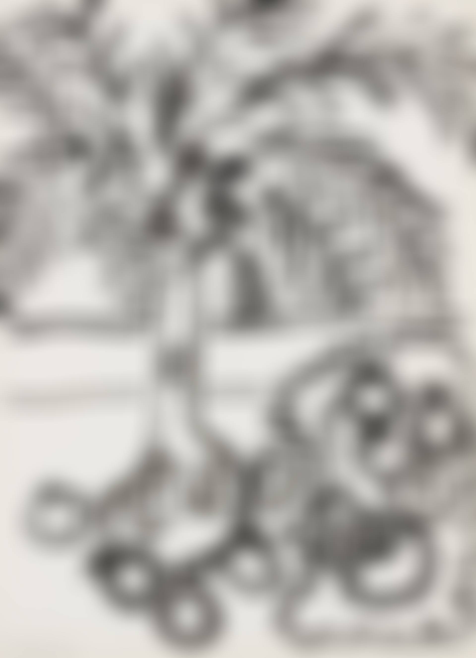 Nature morte, fougères et grenades (preview)