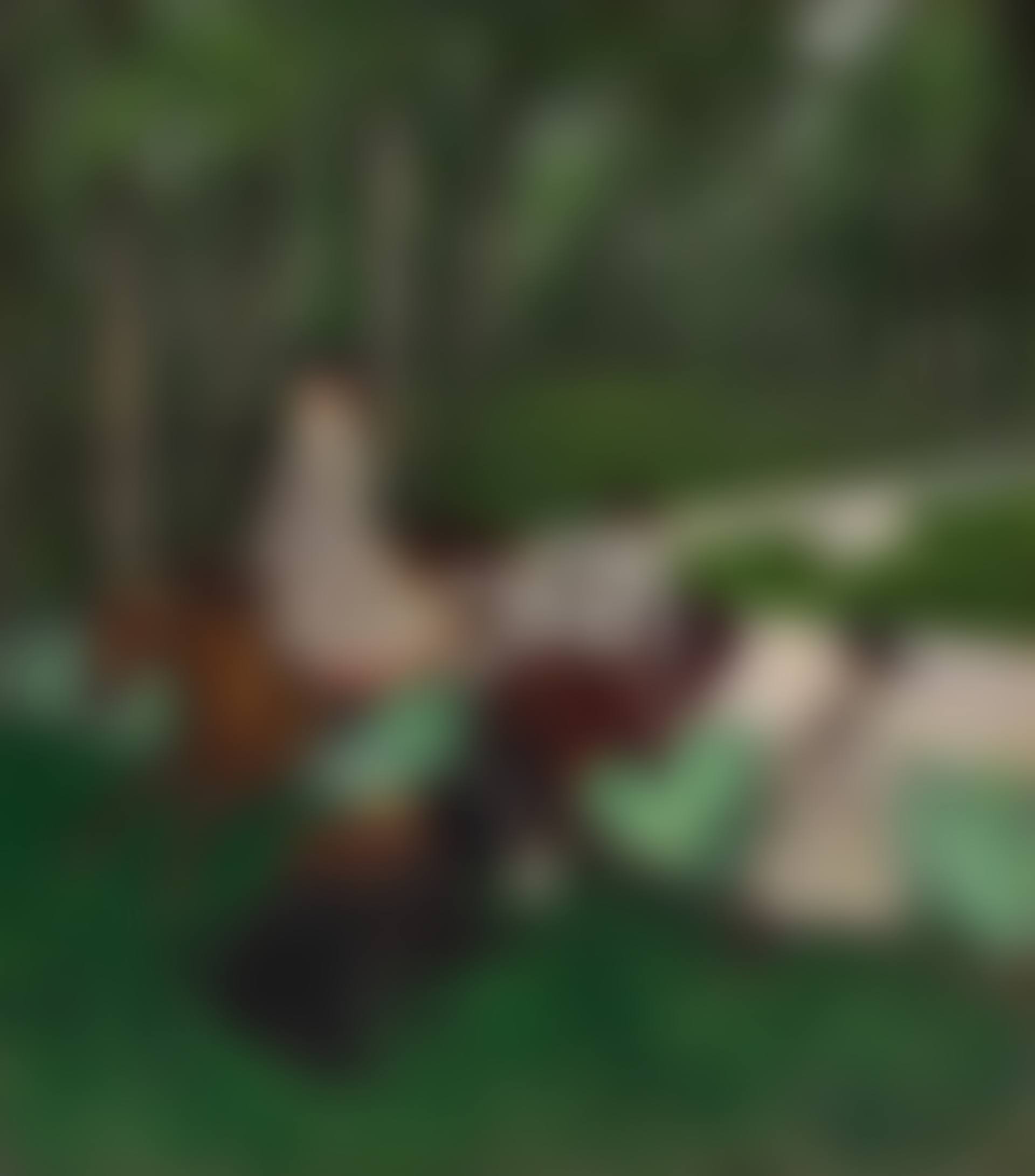 Enfants et poneys dans un parc (preview)