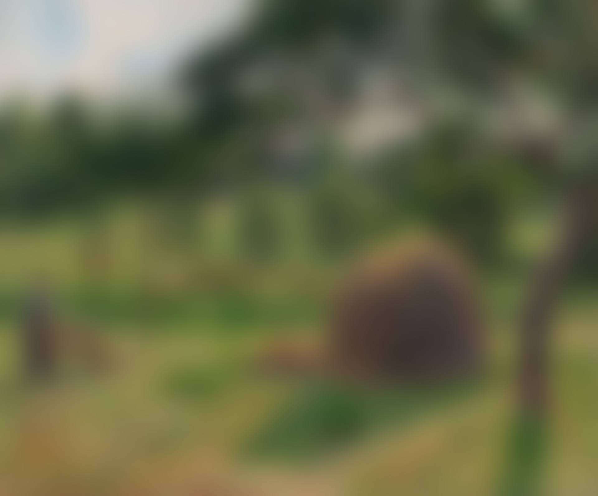 Meule et vaches dans le pré à Eragny, soleil couchant (preview)