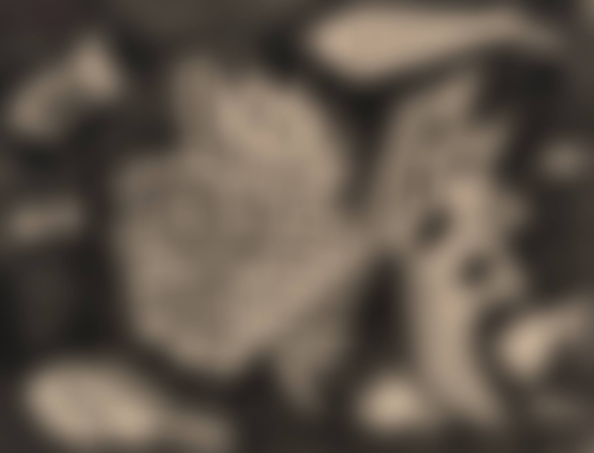 Poissons (preview)