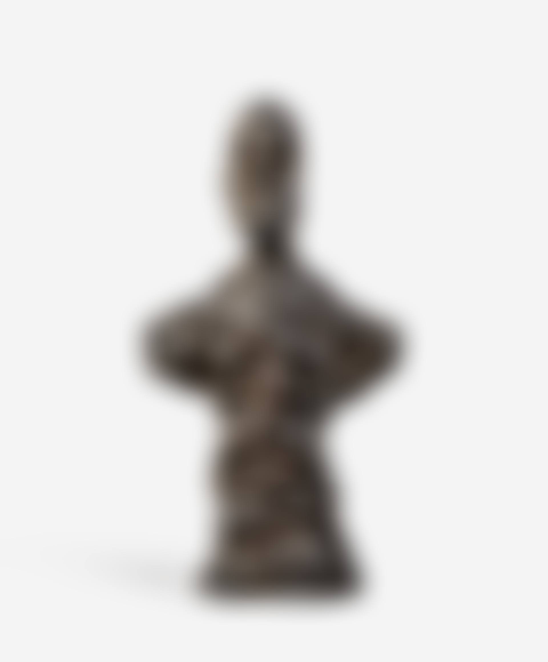 Buste d"homme (dit New York I) (preview)