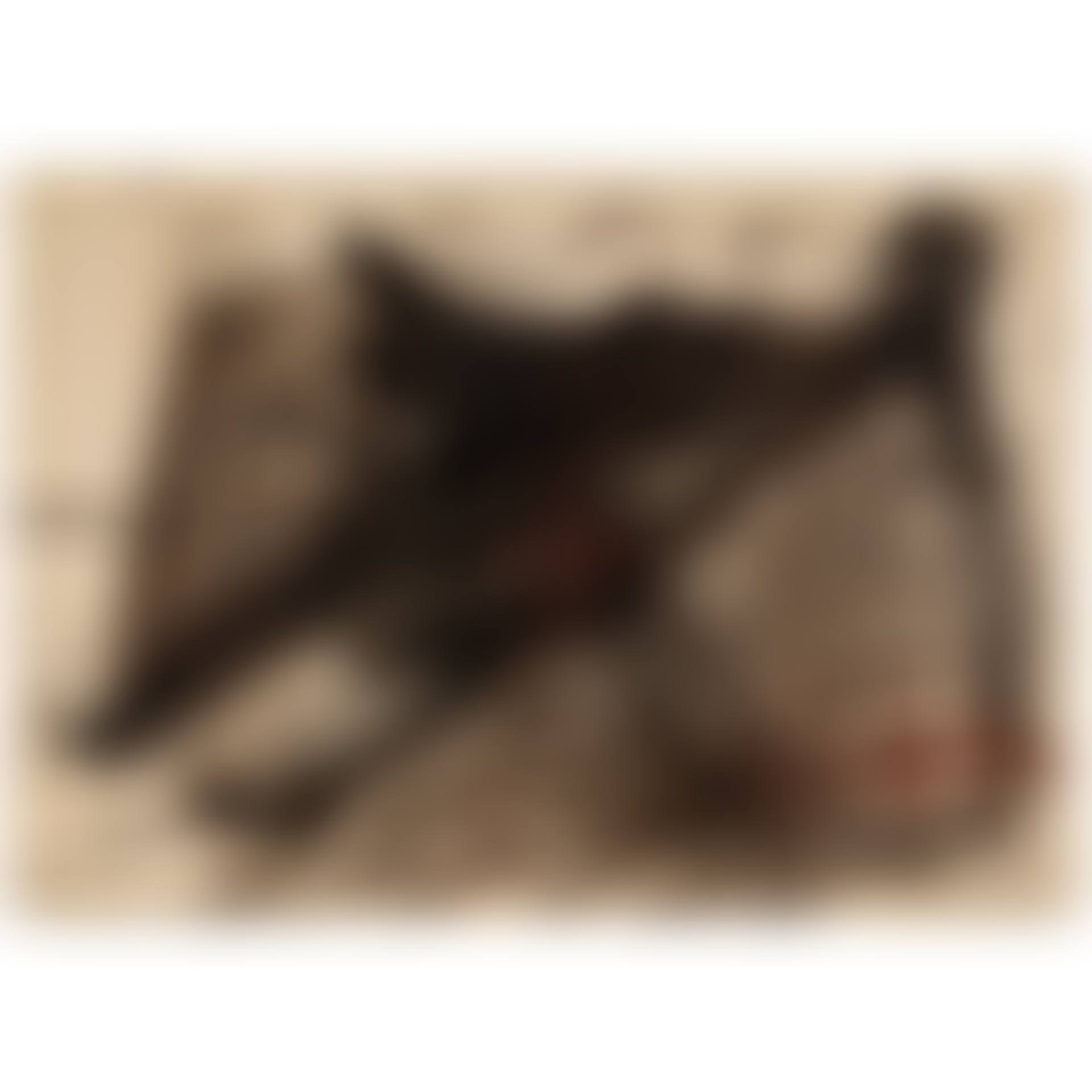 El pa a la barca n o IX (preview)