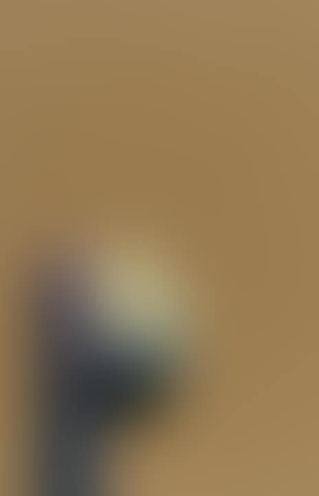 P (preview)