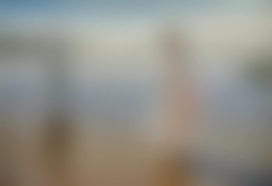 Summer Day (Sommerdag) (preview)