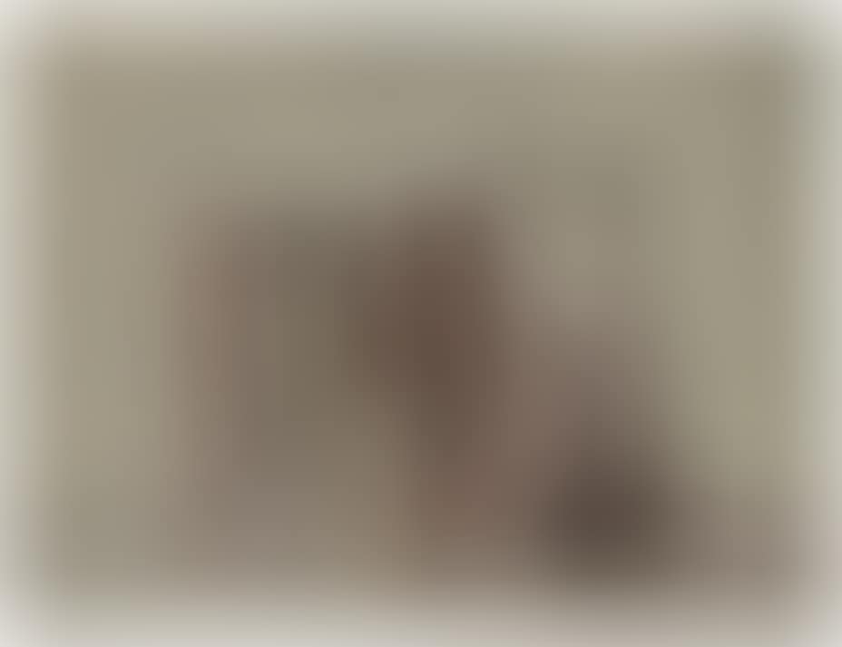 Natura morta (preview)