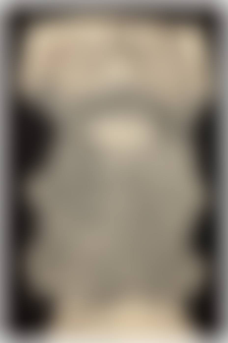 Barbe de captation des ondes (preview)