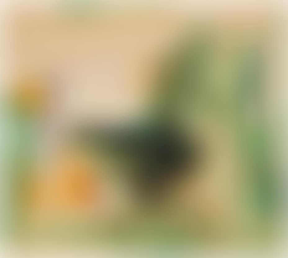 Paloverde (preview)