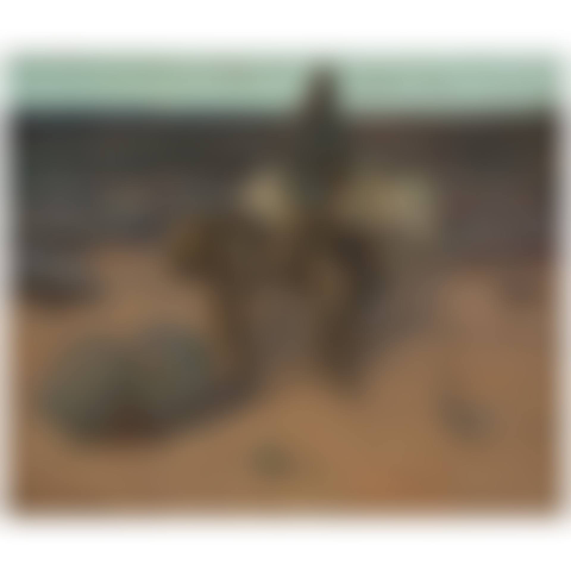 Desert Wanderer, Navajo (preview)
