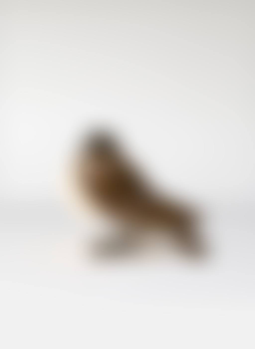 Lampe « Pigeon » (preview)