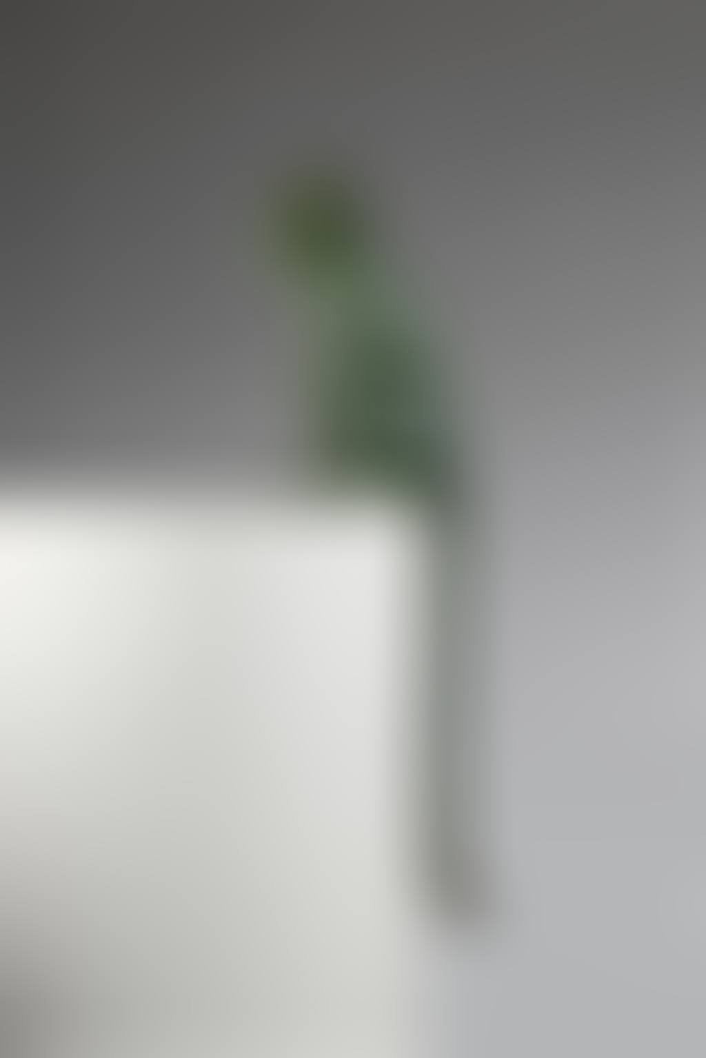 Singe attentif II (preview)