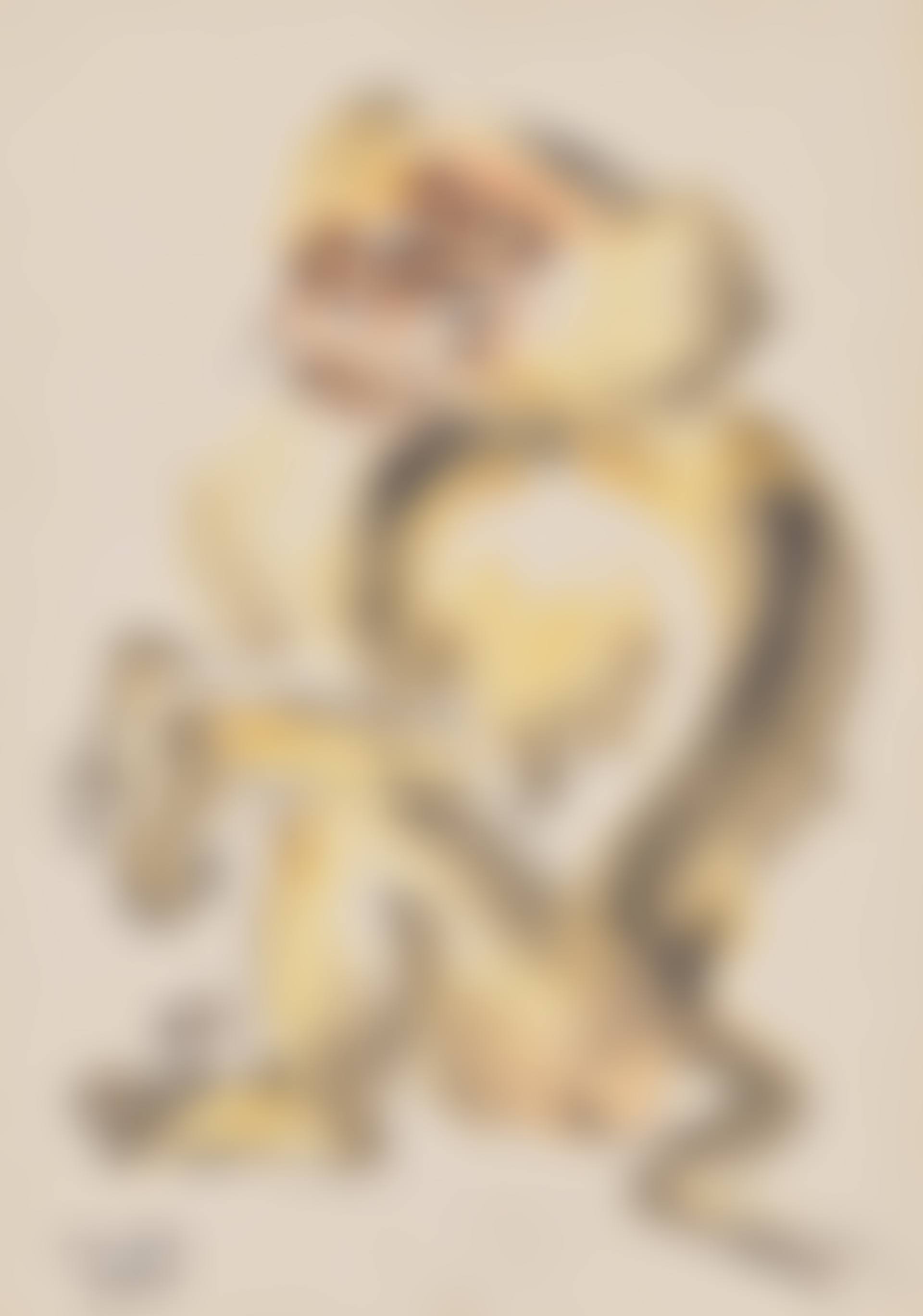Untitled (Macaque) (preview)