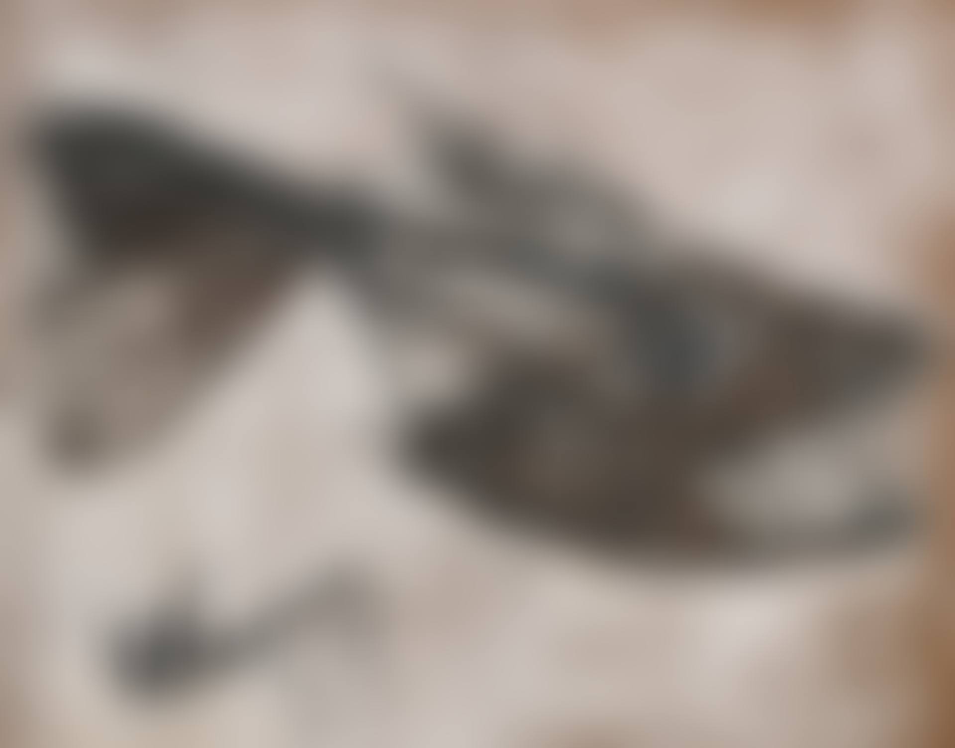 Untitled (Underwater Predator) (preview)