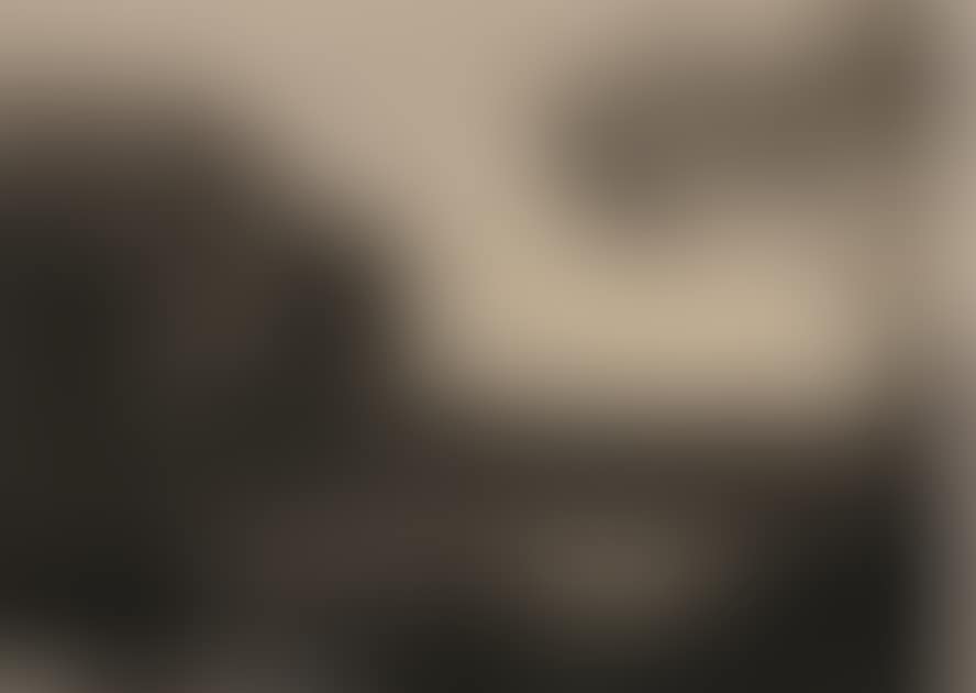 LE PARC AUX BŒUFS (preview)
