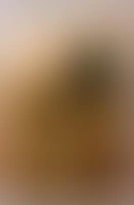 Gebirgslandschaft (preview)