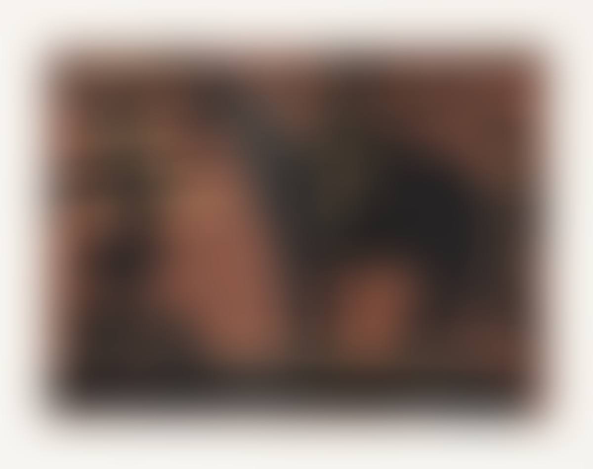 Picador (preview)