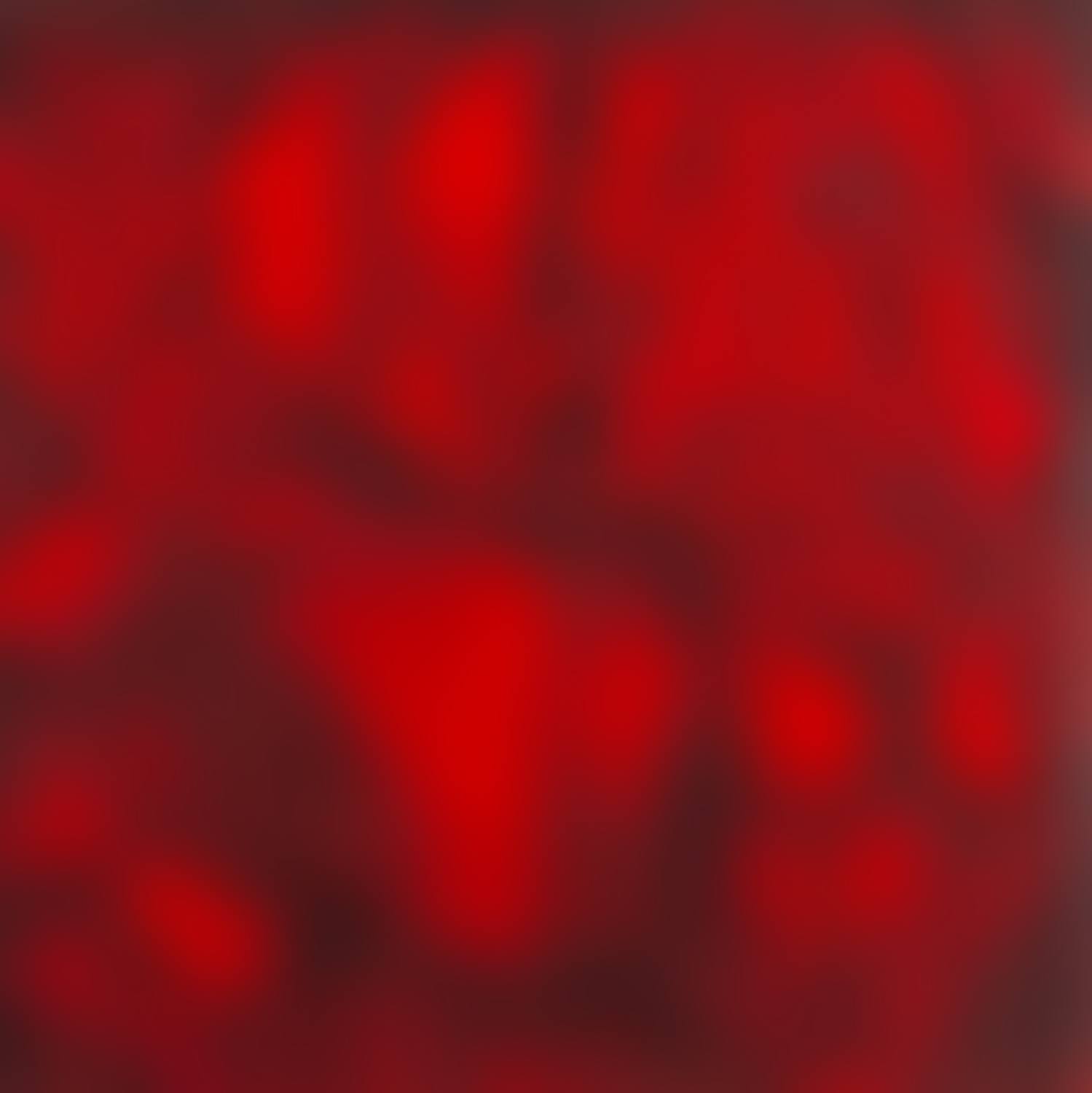 "Irises in red" (preview)