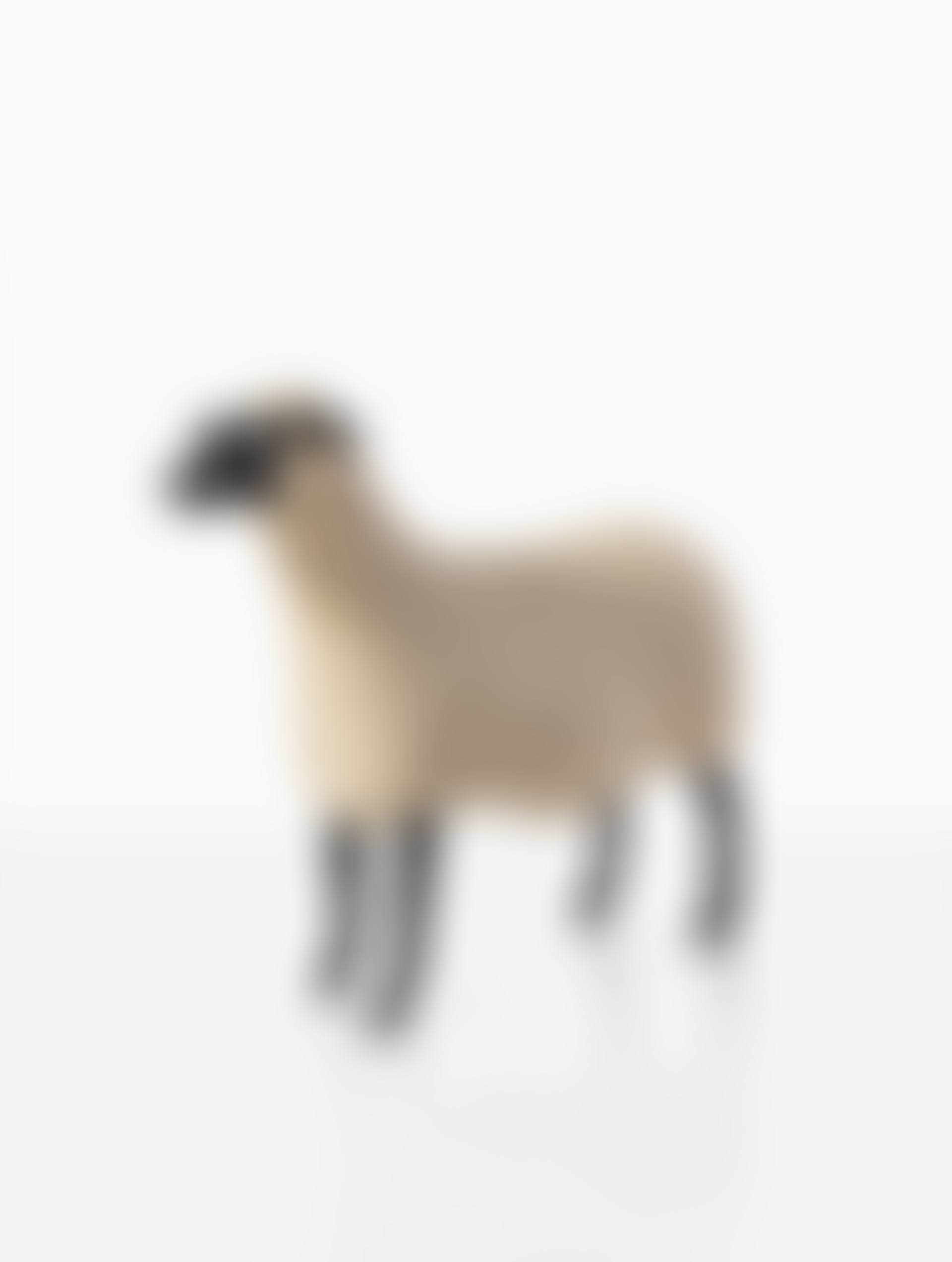 Brebis , from the Nouveaux Moutons series (preview)