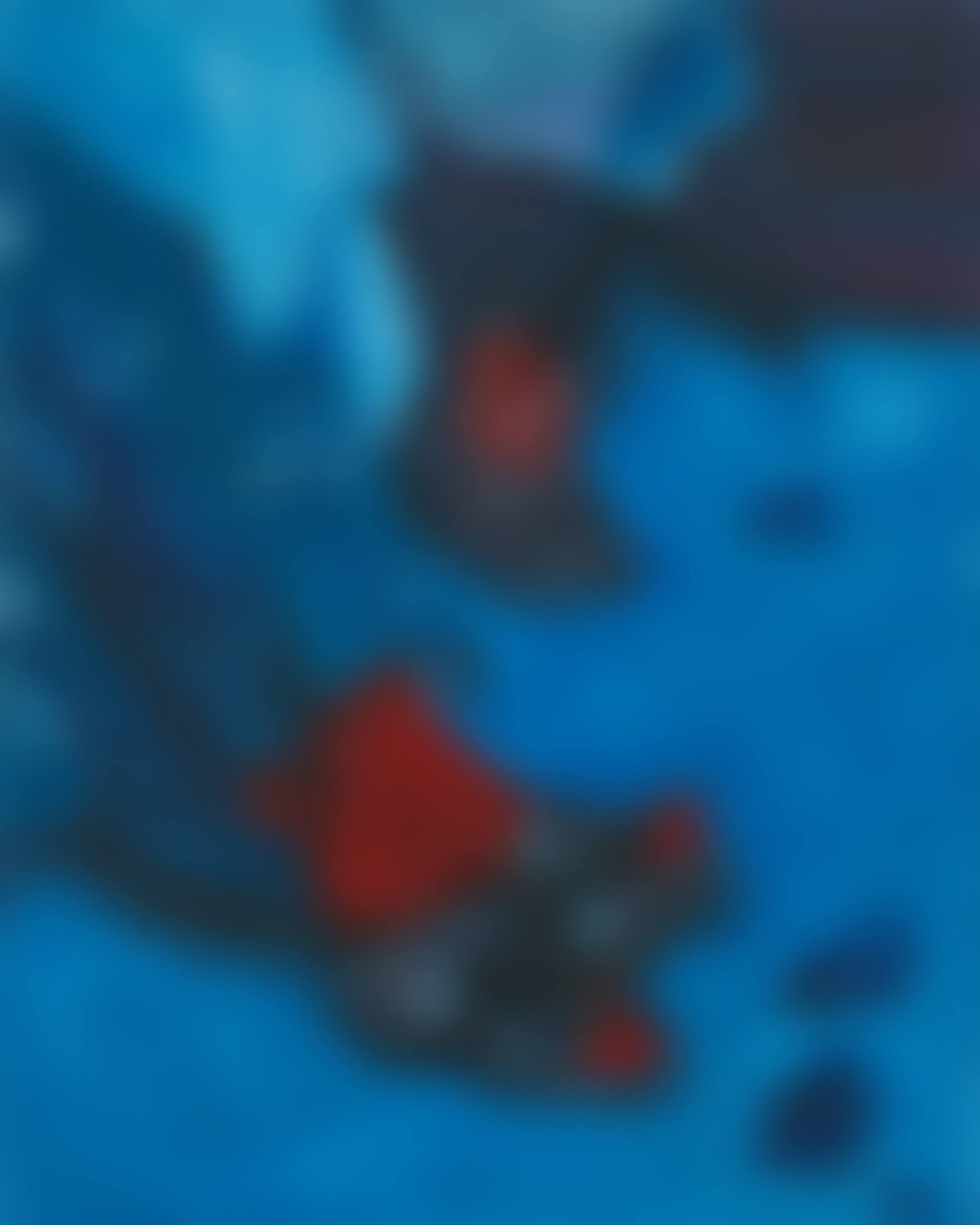 Red Flower Boot (preview)