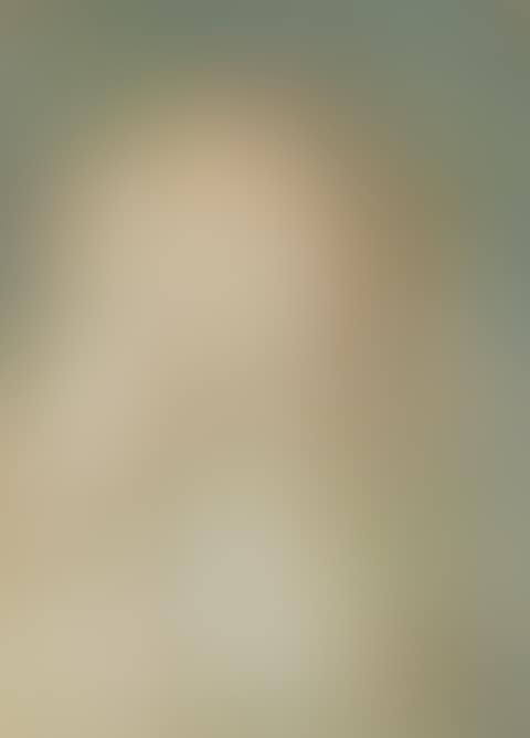 Light flowers/Cosmeen (preview)