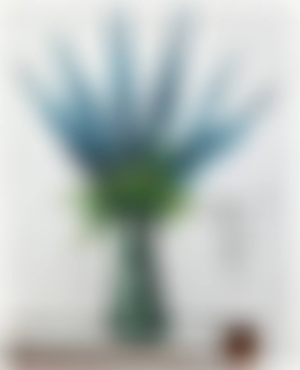 Delphiniums bleus (preview)